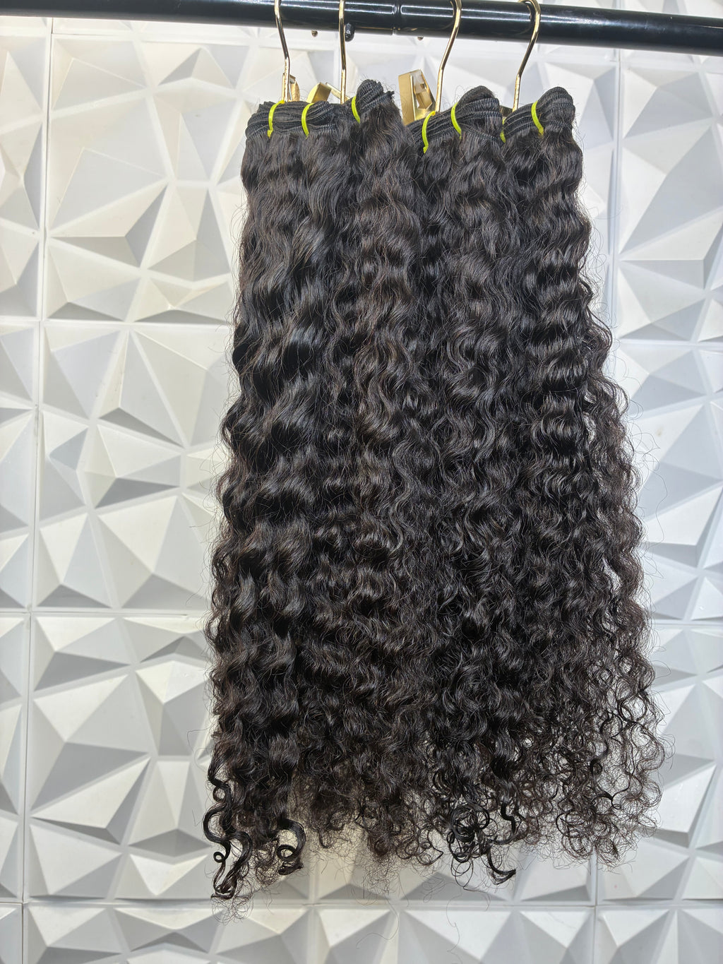 Burmese Curly