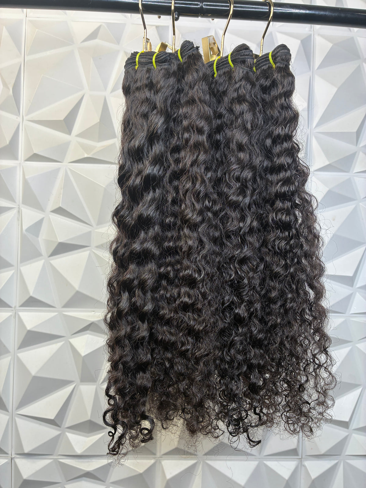 Burmese Curly