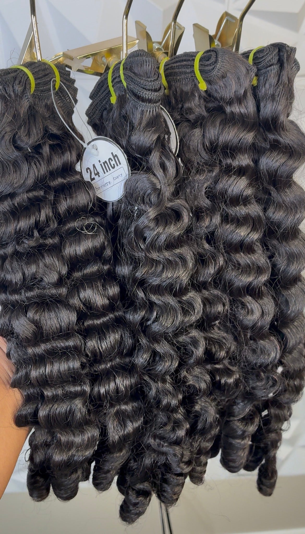 Burmese Curly